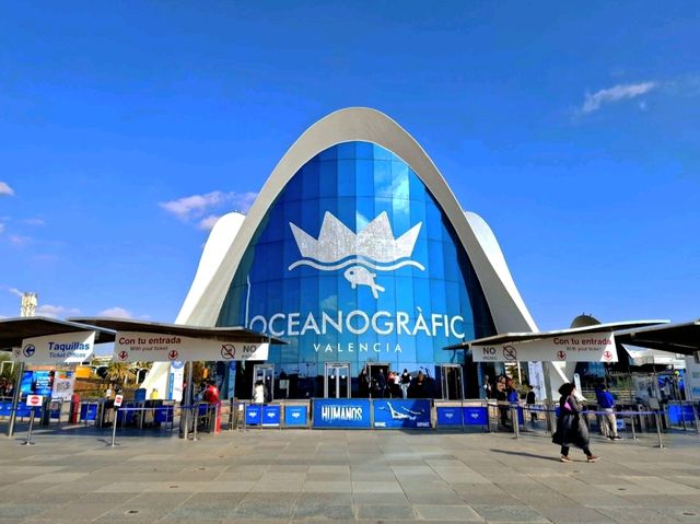 多麼神奇的水族館