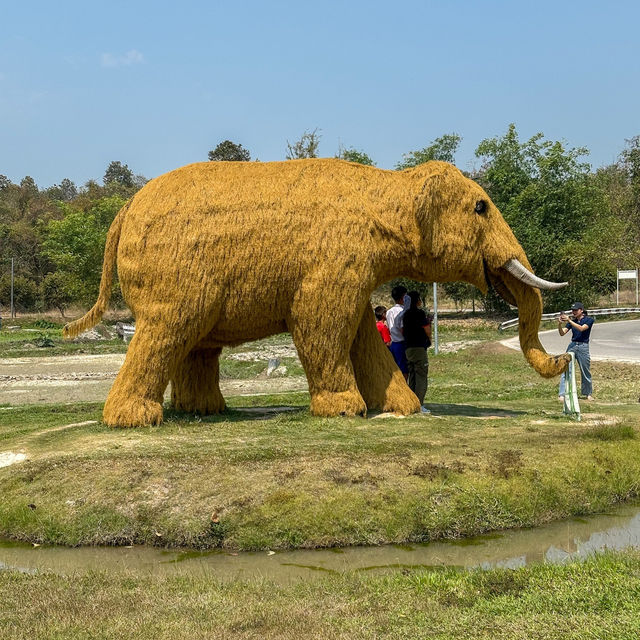 คิงคองยักษ์!! 🦍อ่างเก็บน้ำห้วยตึงเฒ่า เชียงใหม่