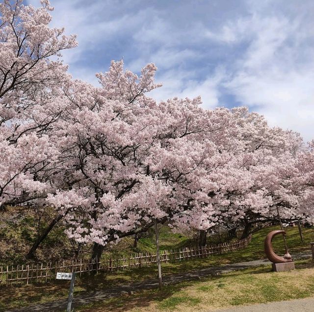 Takato Castle Park, Nagano Prefecture