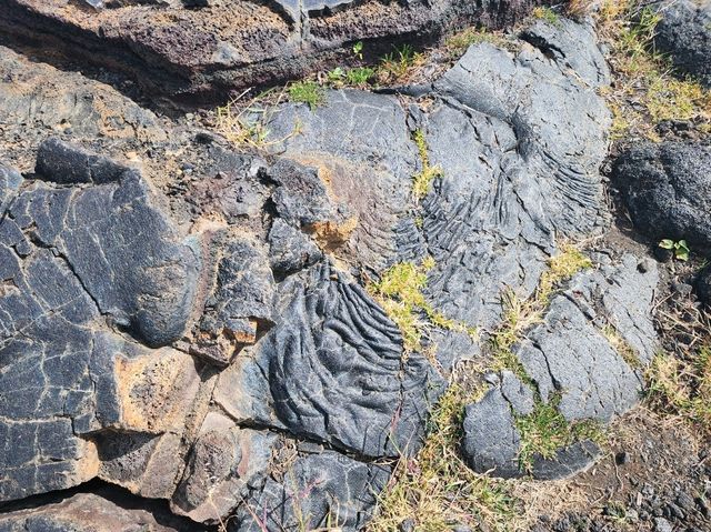 ハワイ島の壮大な火山ドライブ！チェーン・オブ・クレーターズ・ロードとホーレイシーアーチの絶景を巡る