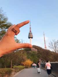 Sunset 🌅 and romantic cherry blossom view from Namsan Tower🗼