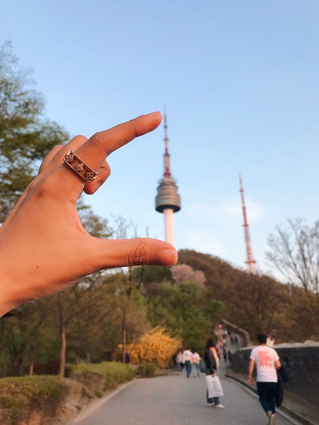 Sunset 🌅 and romantic cherry blossom view from Namsan Tower🗼