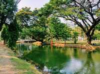 泰國曼谷市中心素坤逸區城市綠洲公園一日遊行程，親子遊行程，素坤逸繁華大道，適合打卡拍照📸親子遊