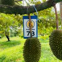 จุดเช็คอินแห่งใหม่ ณ นายายอาม จันทบุรี