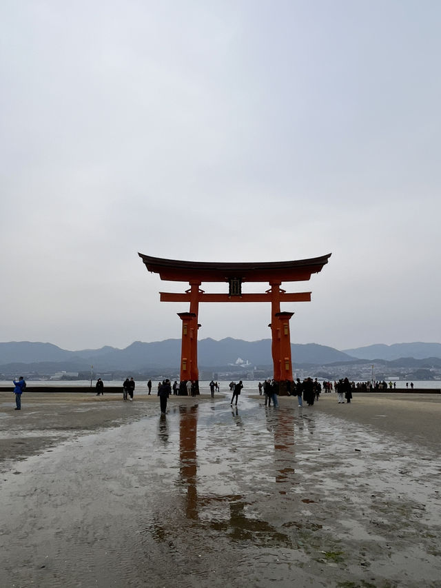 嚴島神社幾時去？潮退還是潮漲？why not both?