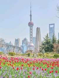 best attraction for china transit in shanghai