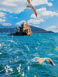 🌸 春限定・3〜4月の大理旅行ガイド 🌿
