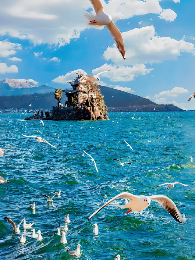 🌸 春限定・3〜4月の大理旅行ガイド 🌿