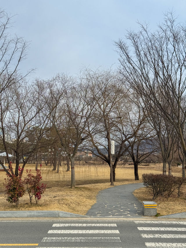 산책하기 좋은 공원 추천 ‘빛가람호수공원’