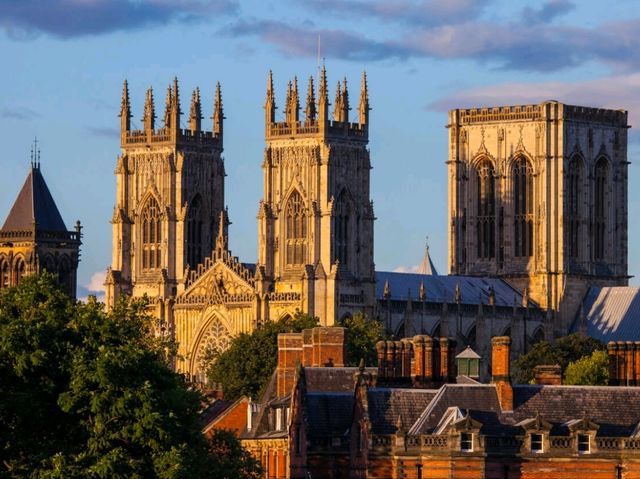 York Minster: The Jesse Window!