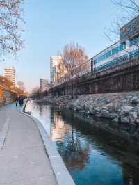One find day at Cheonggyecheon Stream in Seoul 🇰🇷