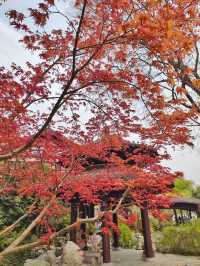 Yingzhou Isle: Nanjing’s Tranquil Lakeside Retreat
