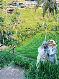 Truth about Tegallagang Rice Terrace 🌾🤫
