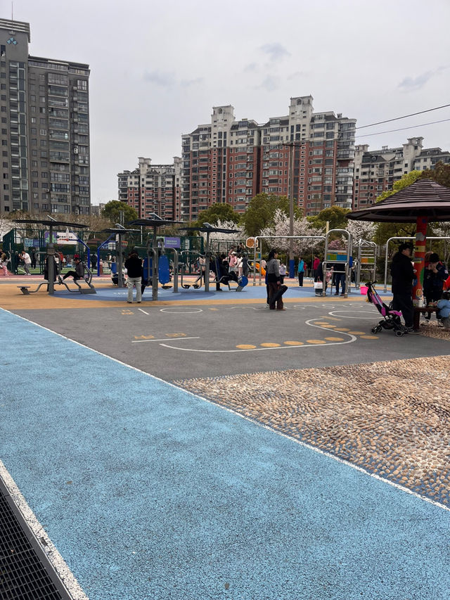 상하이 튤립 볼 수 있는 곳