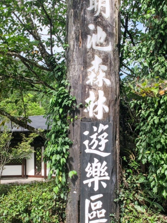 #明池國家森林遊樂區-宜蘭縣大同鄉