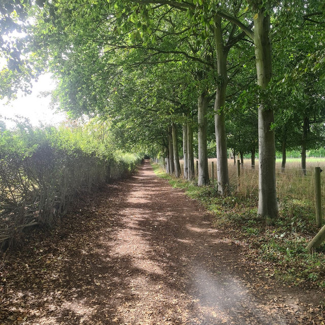 Wandlebury Country Park
