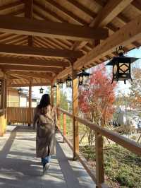 埼玉縣 川越