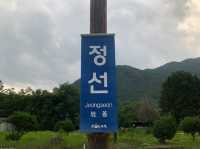 정선아리랑 열차
