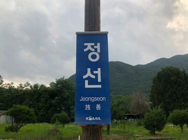 정선아리랑 열차