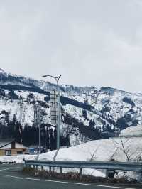 GALA YUZAWA 