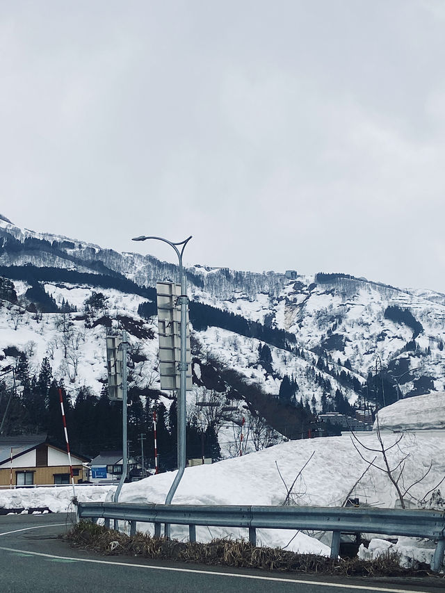 GALA YUZAWA 