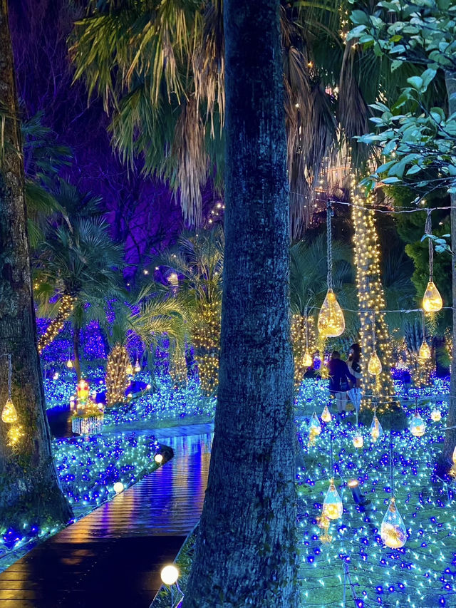 限定！神奈川江之島超浪漫燈光✨