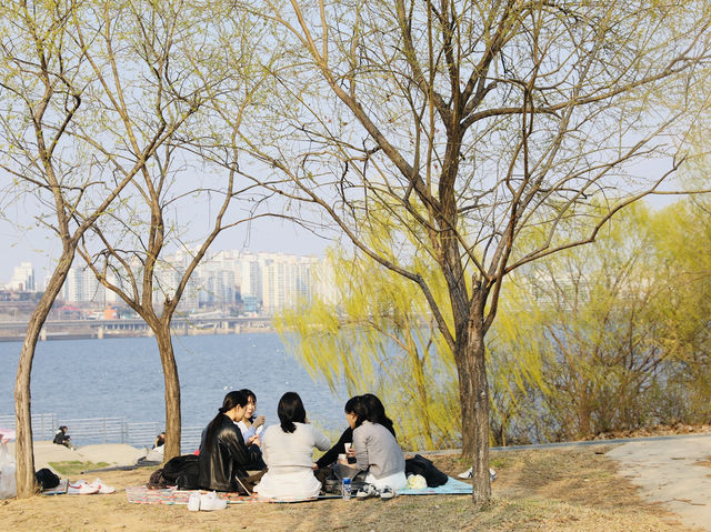 平日漢江公園驚見超浪漫野餐景象！情侶在草地上看韓劇，這才是韓國人最愛的放鬆方式在韓國的平日午後