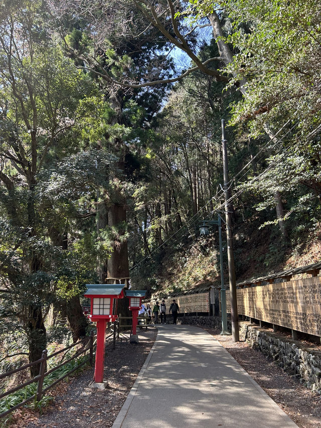 週末リフレッシュ！自然とグルメを満喫する高尾山ハイキング