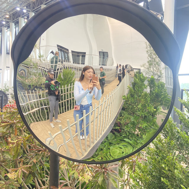 1 Day Trip ระยอง ดูสวนดอกไม้