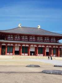 ✅【興福寺 攻略ガイド】  阿修羅に会いに行こう！国宝だらけを制覇する旅