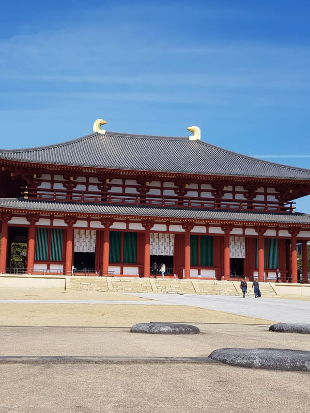 ✅【興福寺 攻略ガイド】  阿修羅に会いに行こう！国宝だらけを制覇する旅