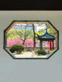 *Suzhou Yiyuan Garden – Where Poetry Meets Horticulture