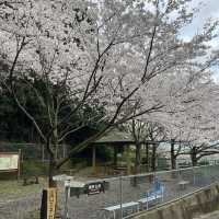 🇯🇵【熊野古道】紀伊路　世界遺産🌎