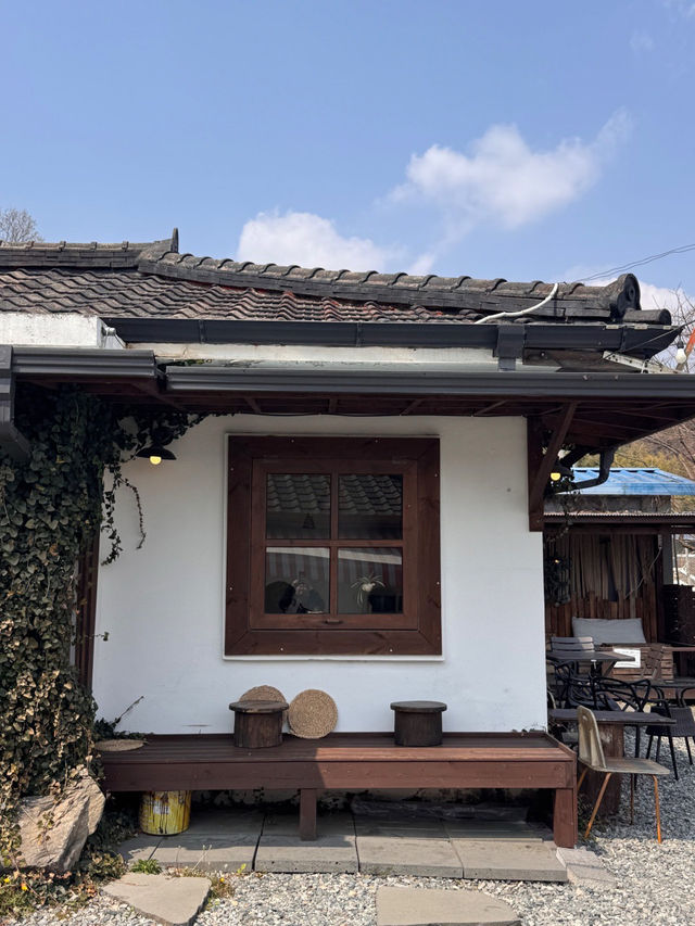 💖⭐️💕충주 충주댐이 보이는 한옥카페 구옥,날다