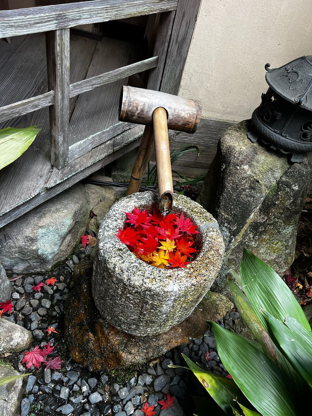 【滋賀県】近江八幡で紅葉がオススメな場所