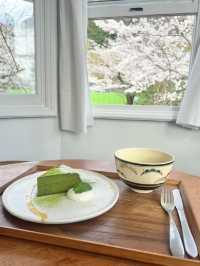【京都🇯🇵】テラスがあるおすすめカフェ