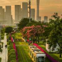 Guangzho Day Trip