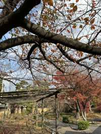 福岡｜筥崎宮花庭園｜拍照打卡好去處
