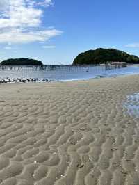 【愛知】無人島への幻の道 トンボロ干潟 潮干狩りスポット