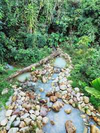 Into the Heart of the Jungle – Rainforest Wild Asia Adventure!