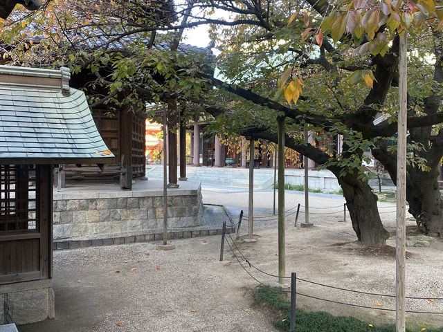 【福岡県博多🇯🇵東長寺】空海が日本で最初に創建したお寺