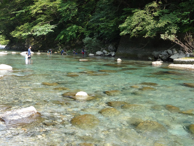 【本谷オートキャンプ場｜大自然の中でアウトドアを満喫】