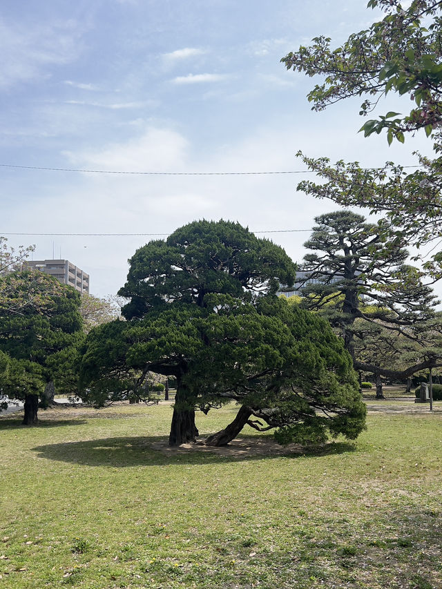 德島城遺跡
