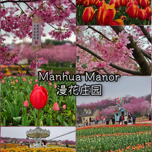 แพลนเที่ยวเฉิงตู 4คืน 5 วัน ⛰️⛄️🇨🇳