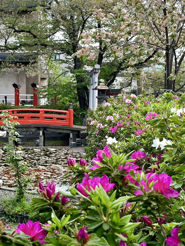 Spring Blossoms at Rokusonno Shrine