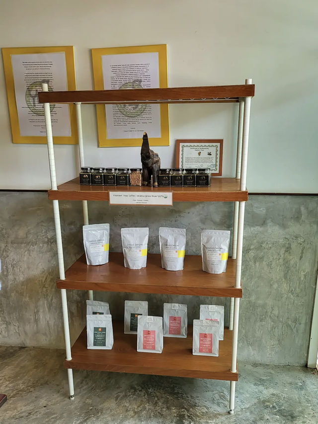 Energize Your Day at Yes Coffee Phuket