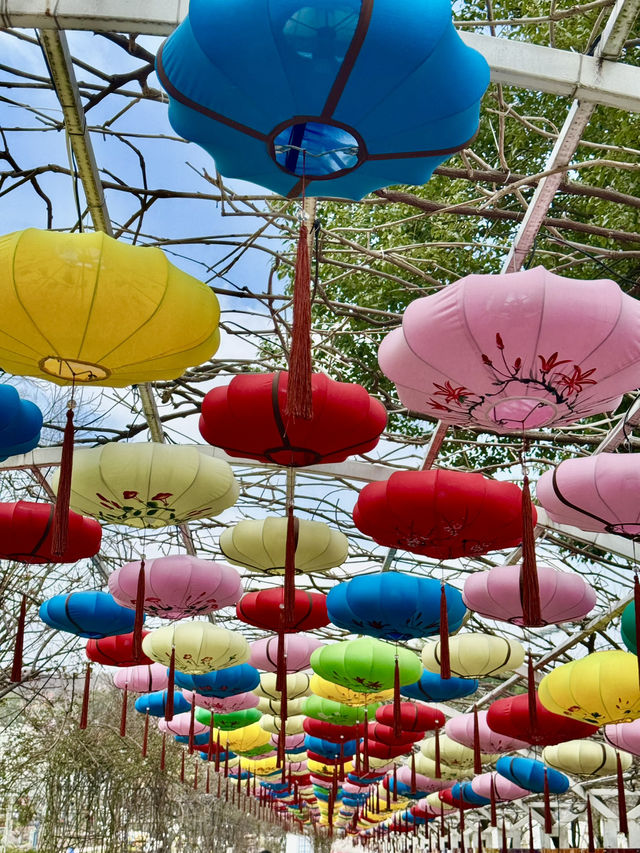 🌸🌻 Blooming Dreams in Chengdu: Discover Manhua Sea of Flowers This April 🌺🌸