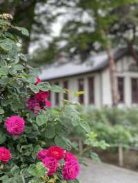 【群馬】600種7000株の薔薇の楽園