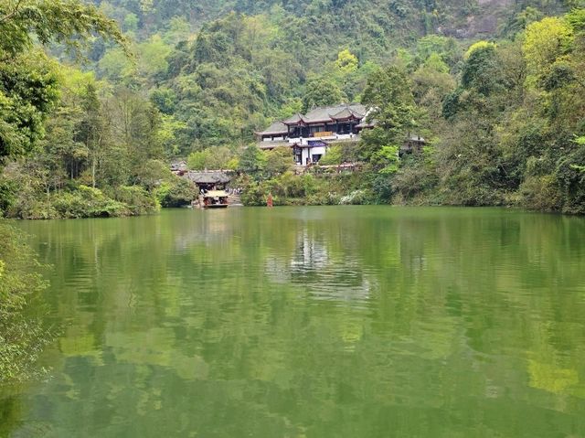 Chengdu Day Trip – Panda Valley, Qingcheng Mountain & Dujiangyan with Ancient Town Vibes!