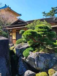 Hakone Museum of Art: A Masterpiece of Moss and Stone